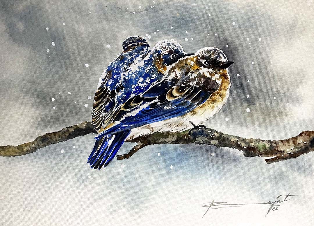 eastern-bluebirds-in-winter